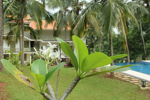 Luxury Kerala Villas